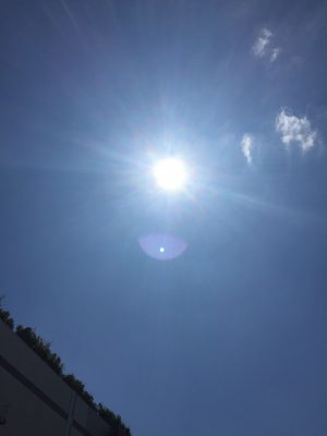 太陽