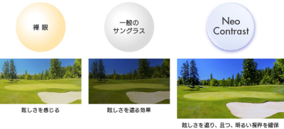 ネオコントラスト シーコントラスト