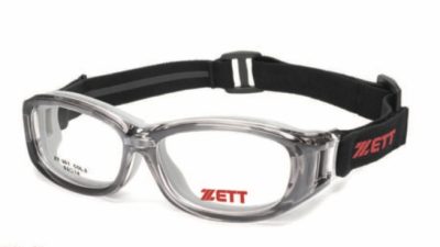 ZT-301 3
