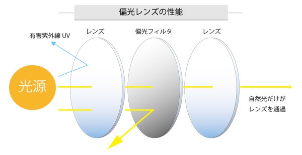 偏光