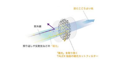 タレックス ツイッターより